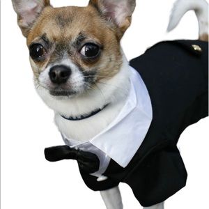 Adorable Dog Tuxedo